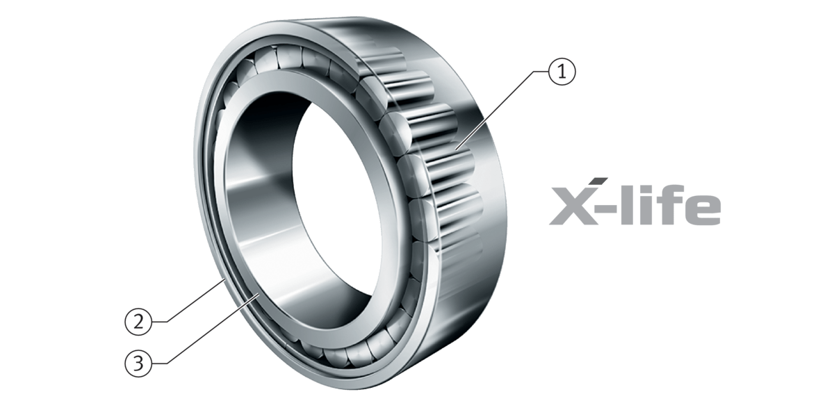 Single row full complement cylindrical roller bearings Schaeffler medias