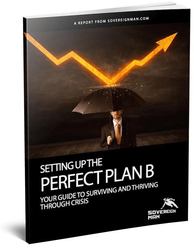 Perfect Plan B Guide Schiff Sovereign