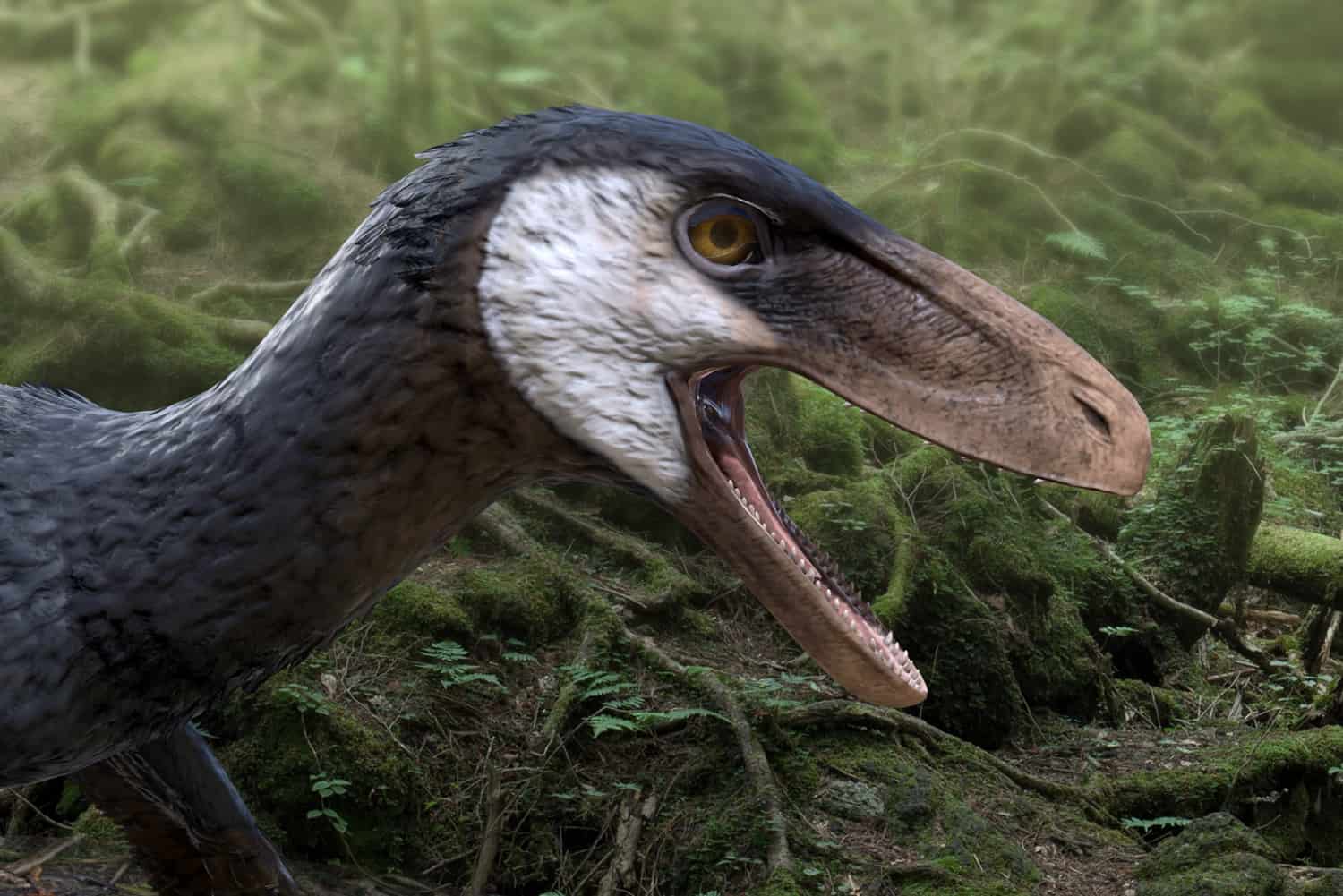 40 Dinosaurs Discovered in North America