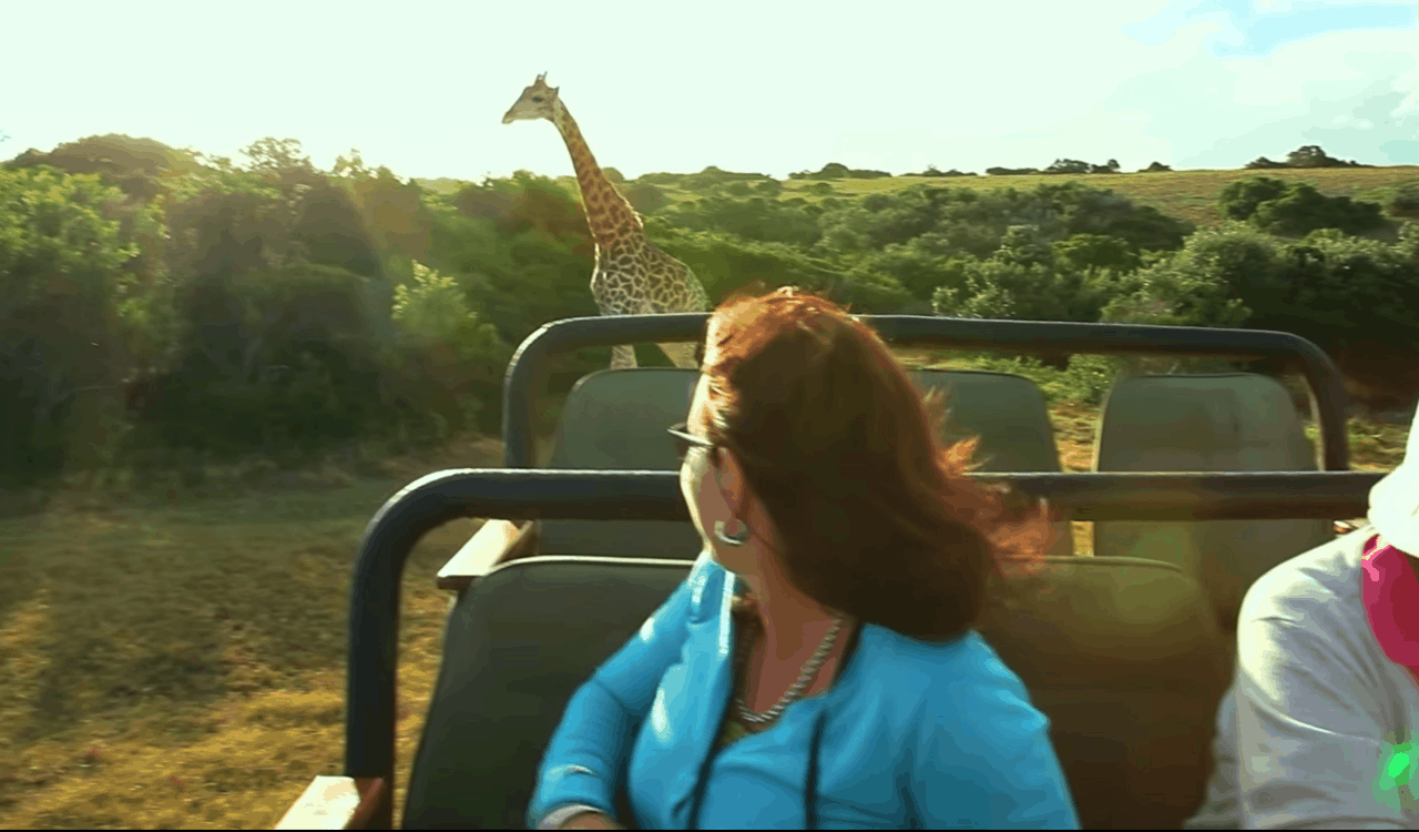 Bad Safari Experiences True Stories About The Horrors Experienced