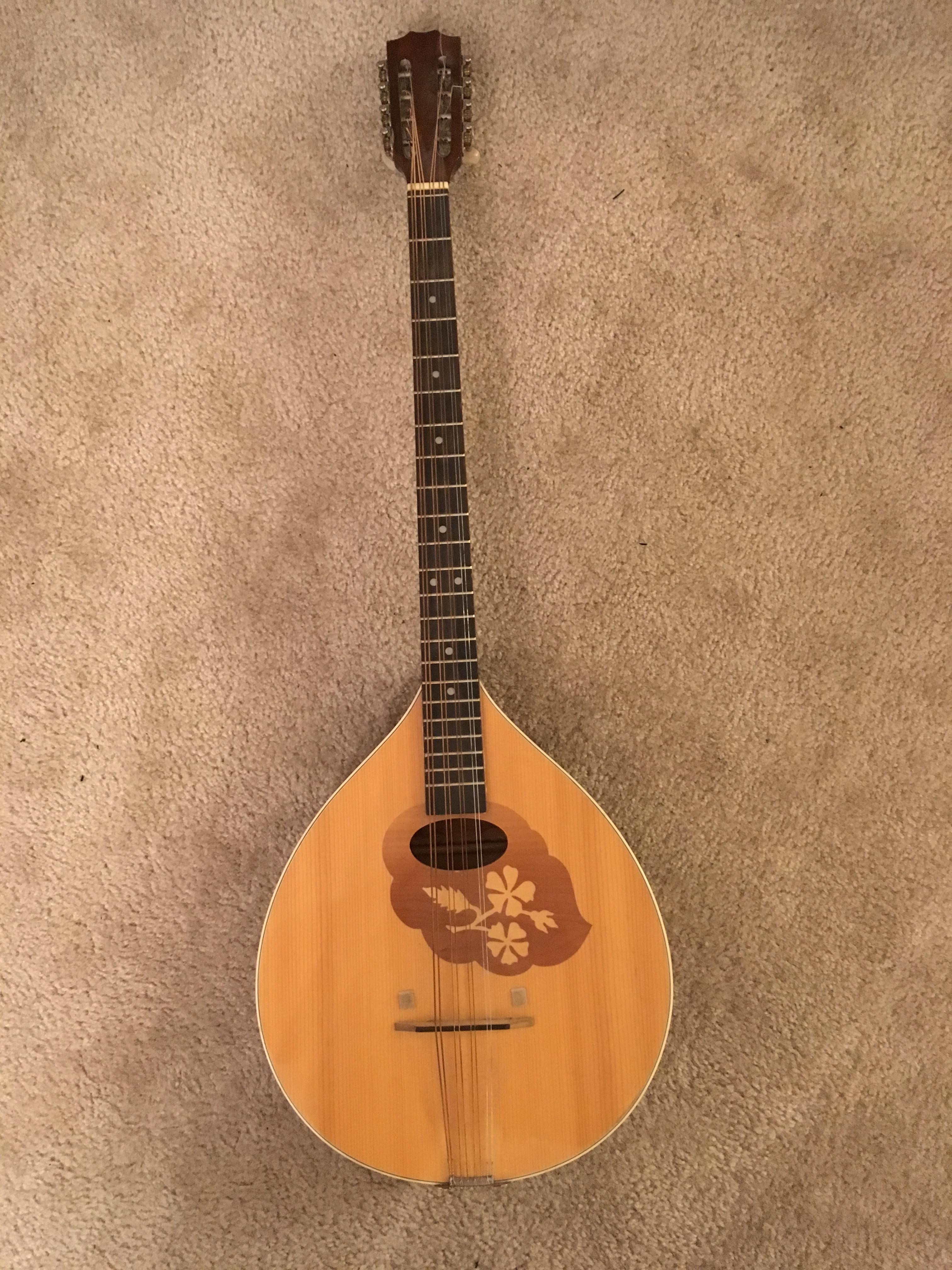The Mandola A Stringed Musical Instrument With A Rich History ScionAv