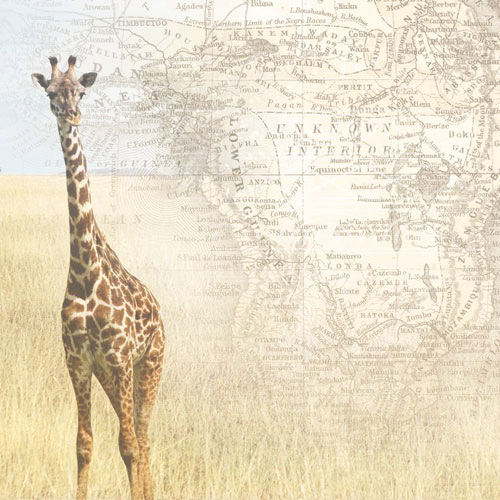 Paper House Productions Africa Collection 12 x 12 Paper Africa Map