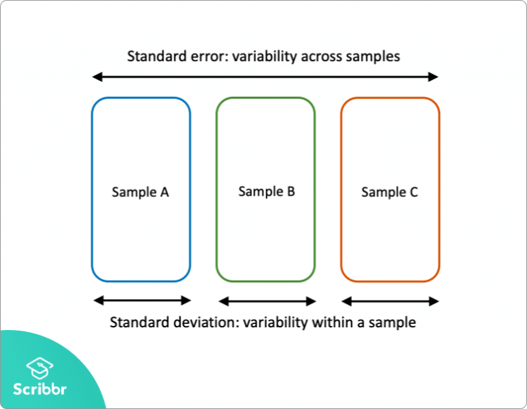 What Is Standard Error? How to Calculate (Guide with Examples)