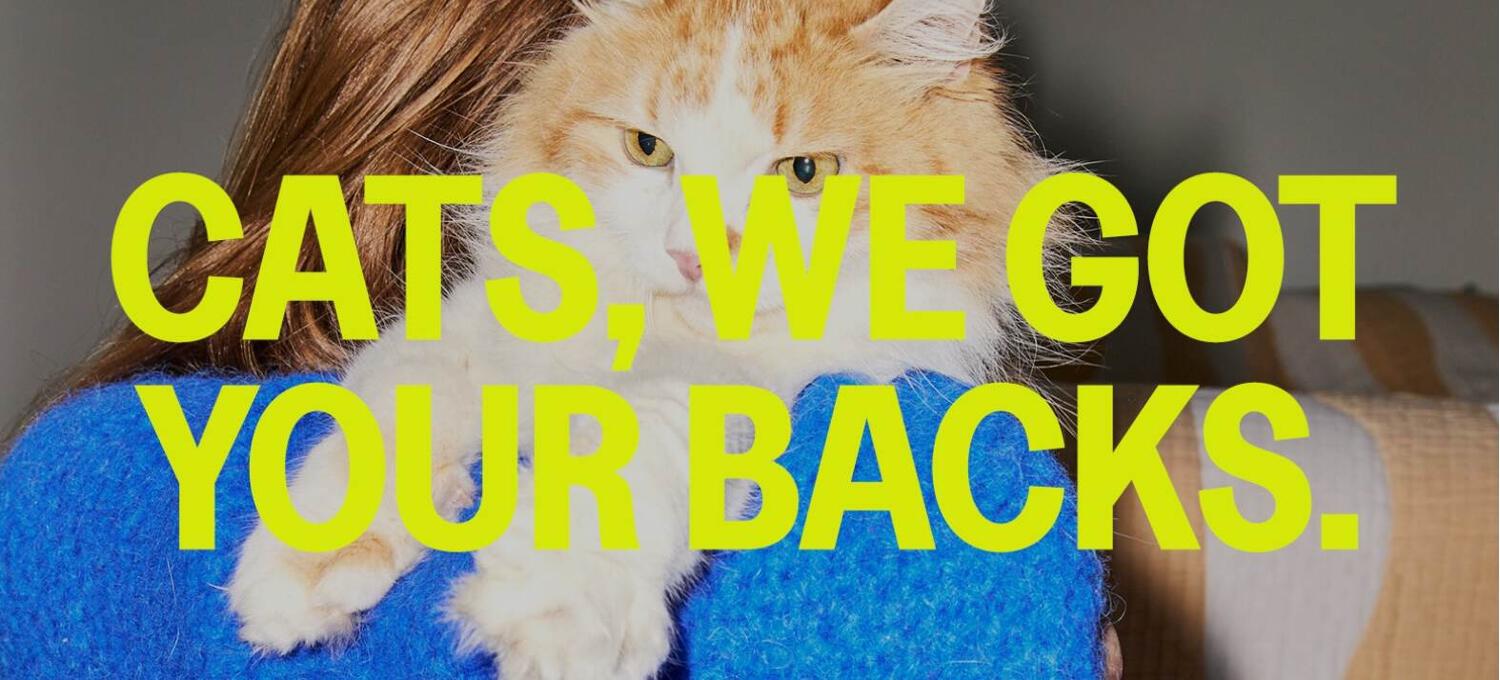 Katkin Discount Code 50 Off in October 2024