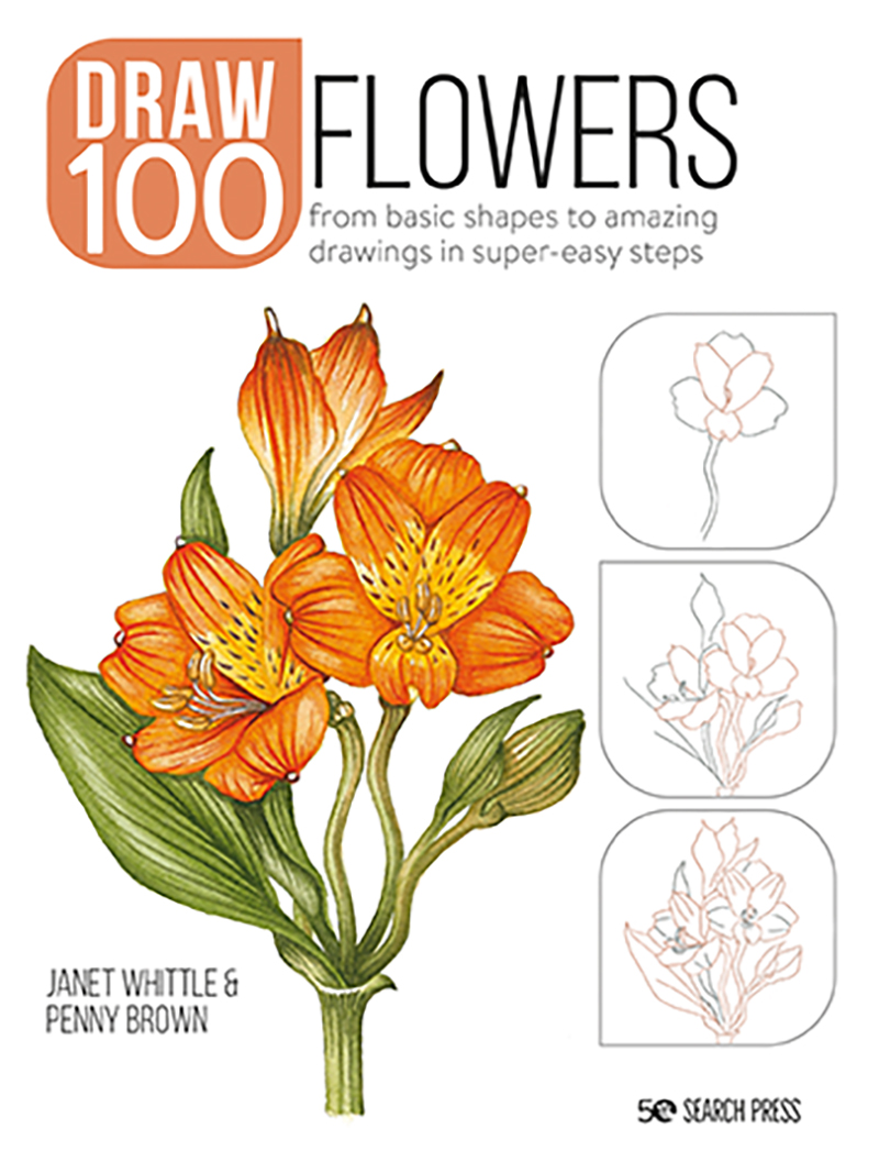 Drawing Flowers Step By Pdf Best Flower Site