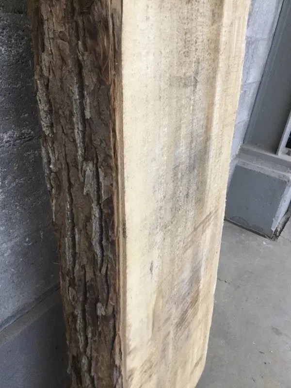 Live Edge Cottonwood Slab Second Use