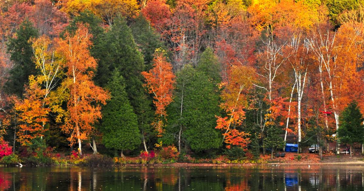 Adirondack Fall Foliage 2022 5 Adirondack Leaf Peeping Drives For Great Fall Foliage
