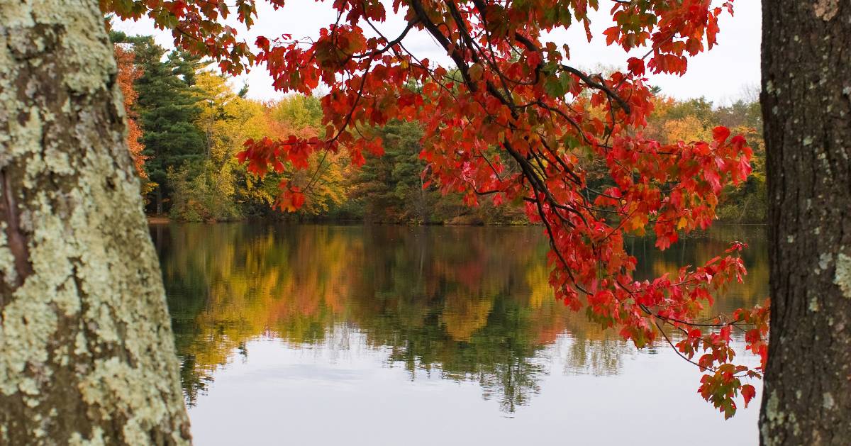 adirondack fall foliage map 2023 5 Adirondack Leaf Peeping Drives For Great Fall Foliage