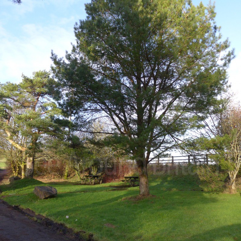 Pictures of Talley Village, Carmarthenshire, Wales. Open Daily. Free