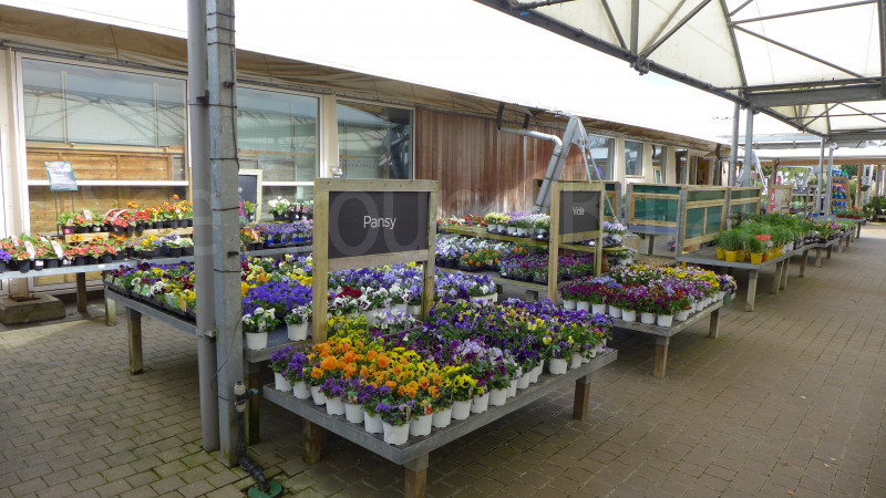 Bressingham Garden Centre, Norfolk See Around Britain