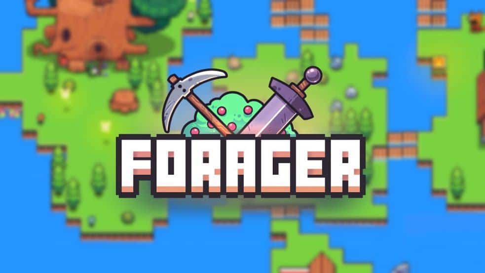Forager Puzzles Guide How to Solve All Puzzles, Rewards, Tips