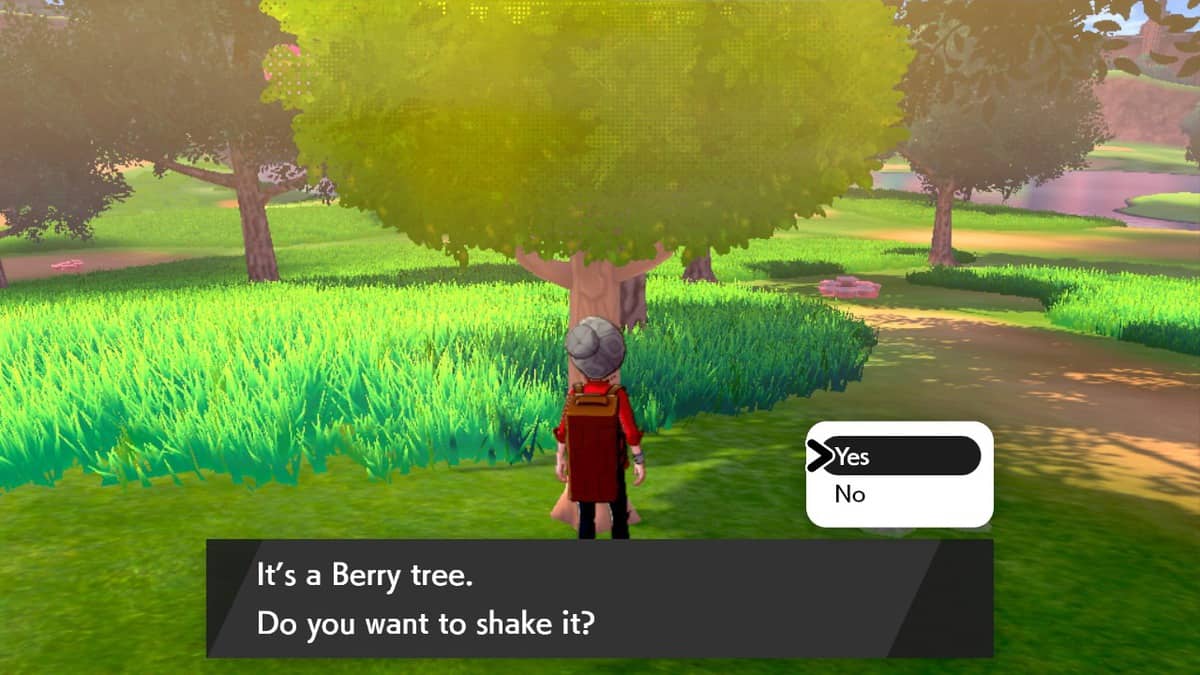 Pokemon Sword and Shield Berries, Berry Farming Guide SegmentNext