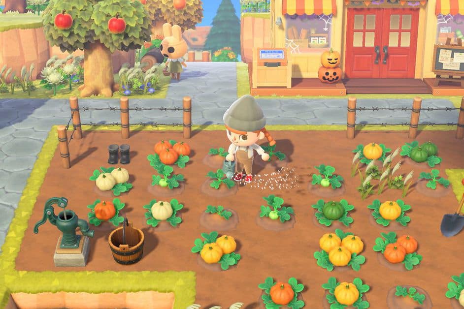 Animal Crossing New Horizons Halloween Pumpkin Farming Guide SegmentNext