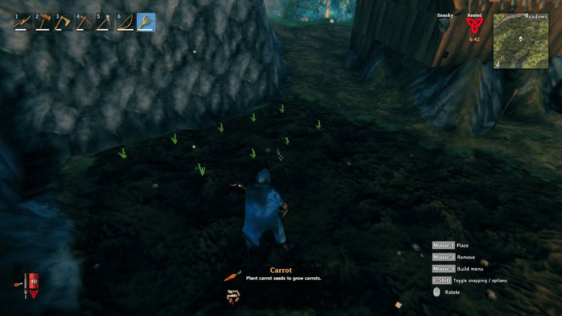 How To Plant Seeds In Valheim Plant Ideas