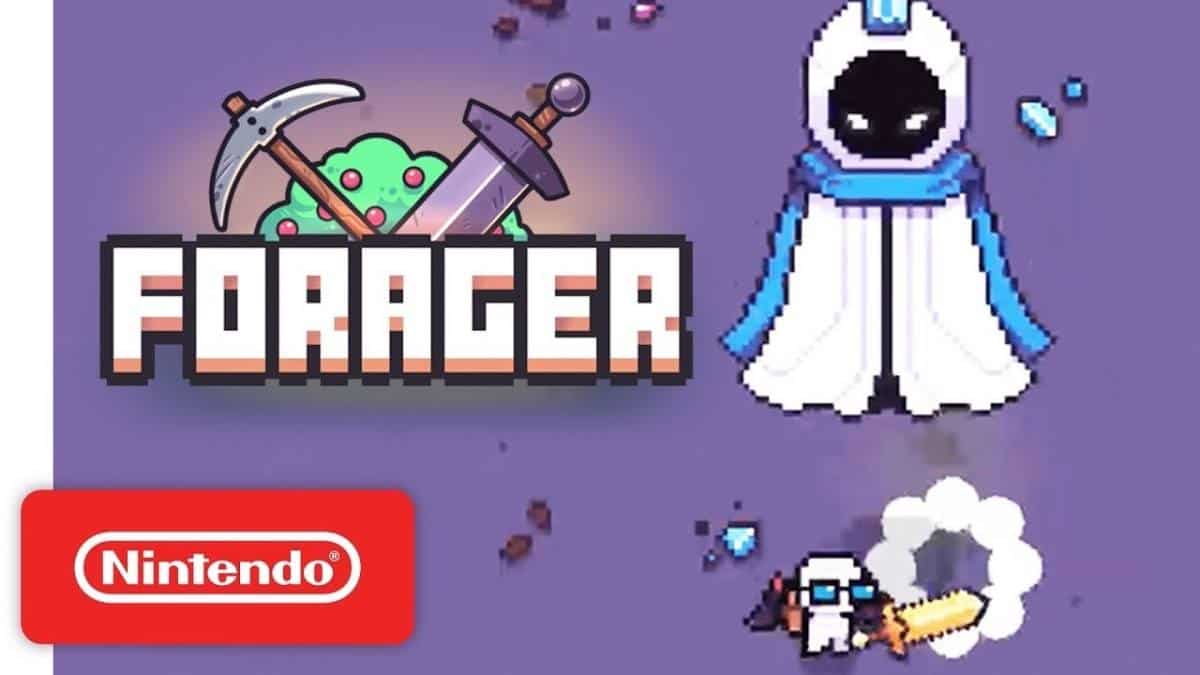 Forager Beginners Guide