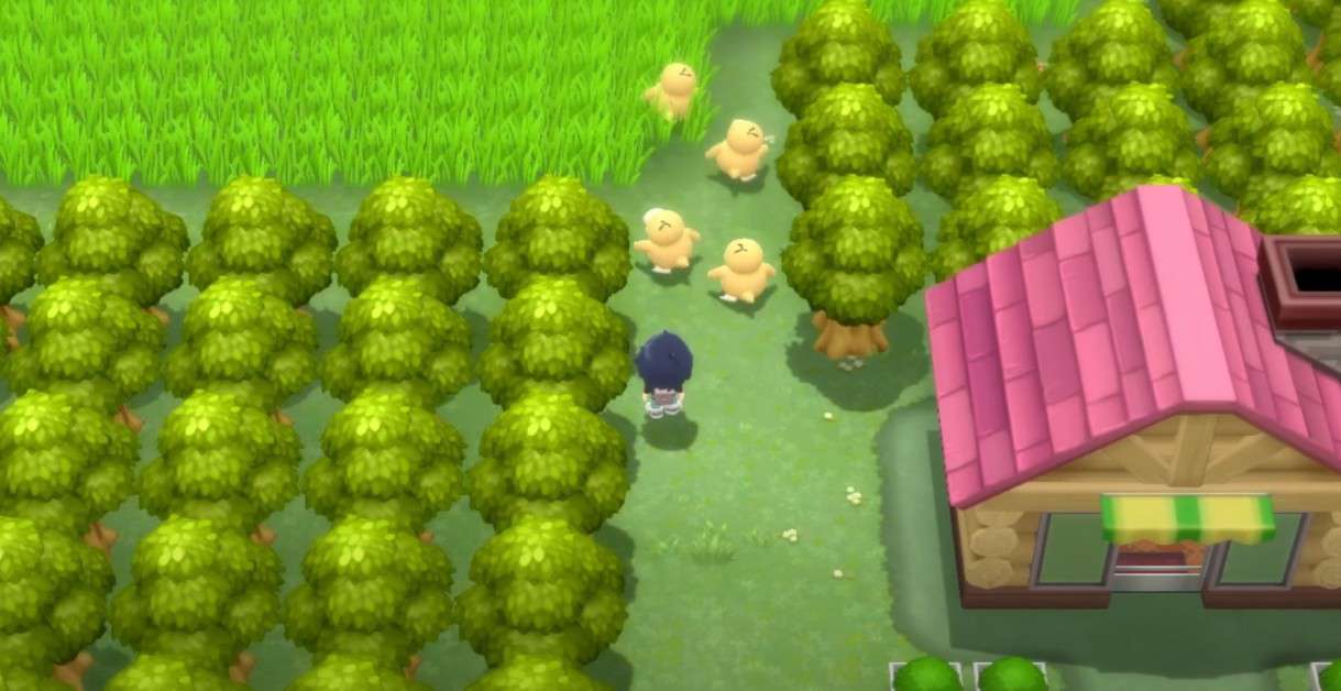 Pokemon BDSP Move Tutor Locations Guide