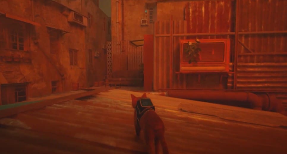 Stray Energy Drink Locations Guide