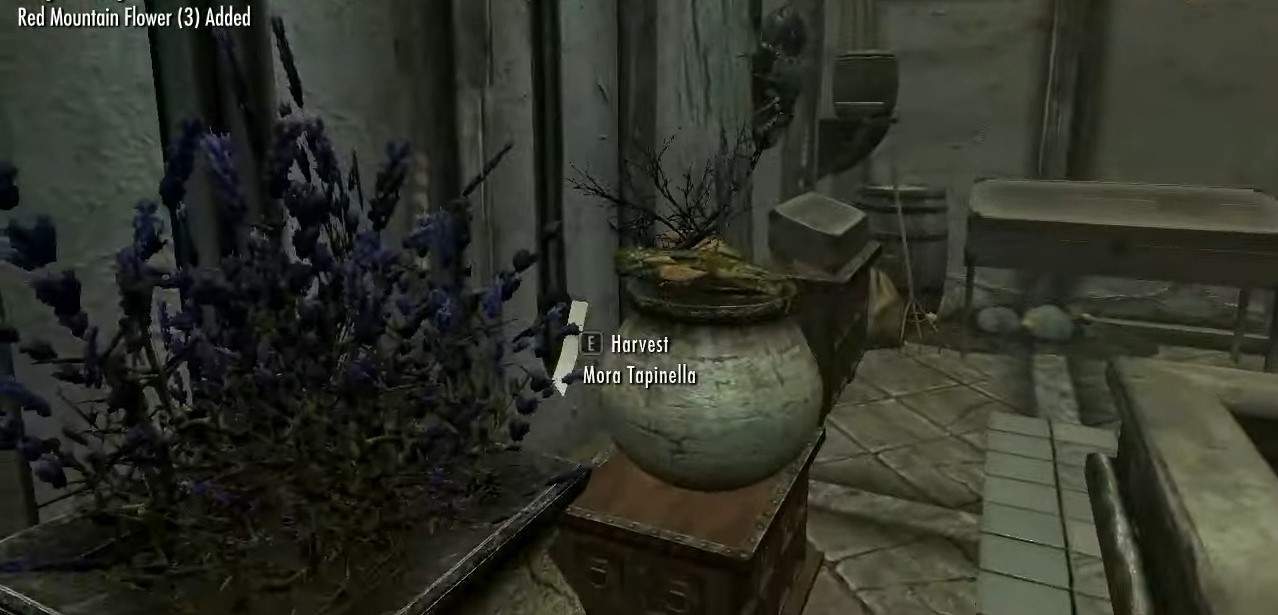 스카이림의 온실과 정원에서 자라는 최고의 식물 GAMINGDEPUTY KOREA