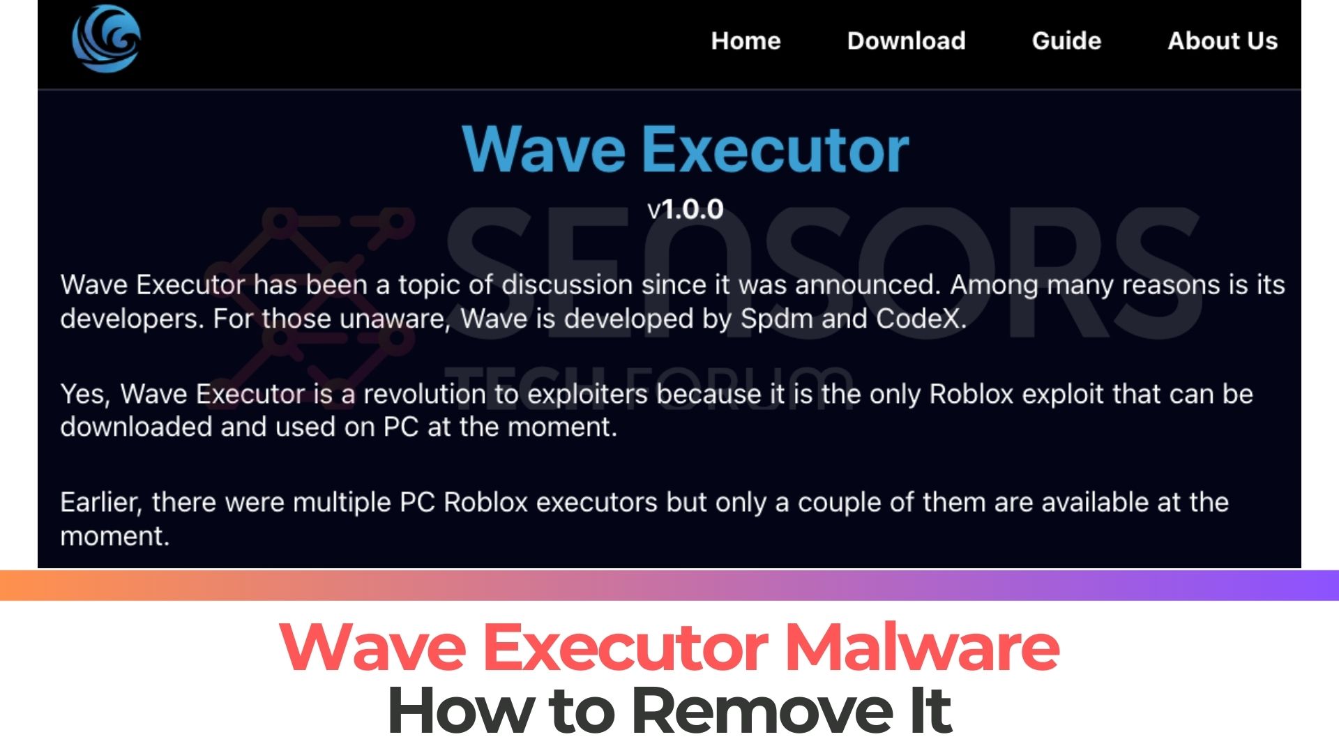 Protect Against Roblox Script Executor Malware [Wave Executor](03)