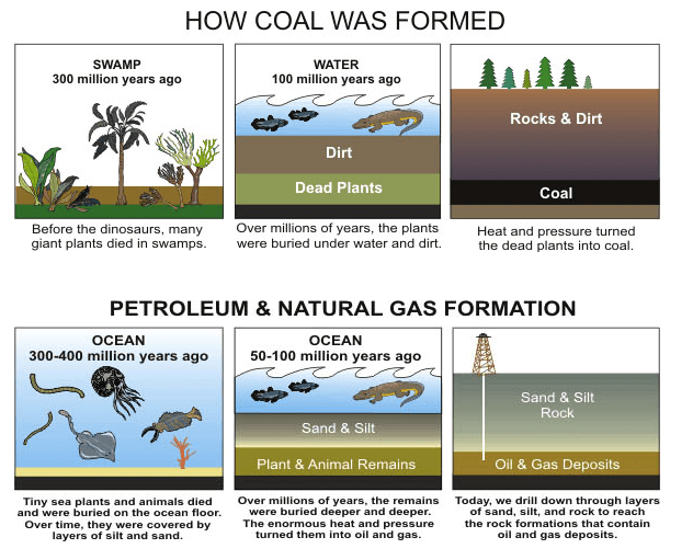 Fossil Fuel Formation