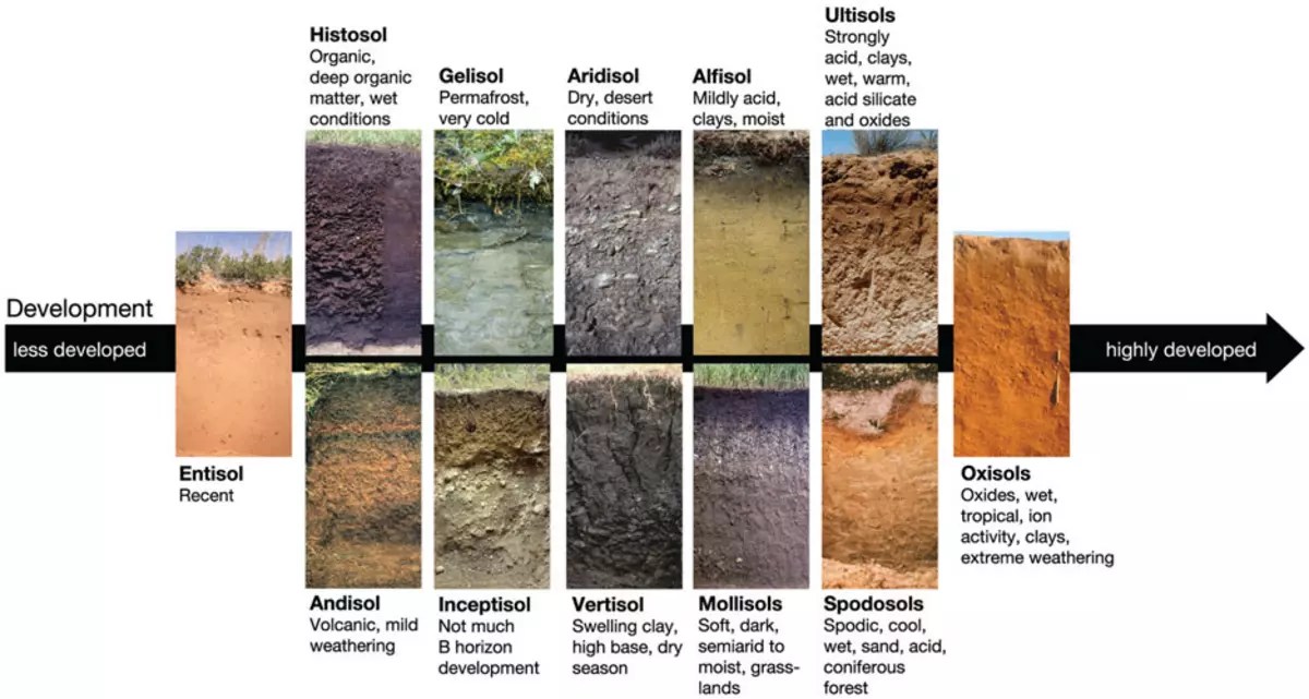 Explore Describing and Classifying Soil