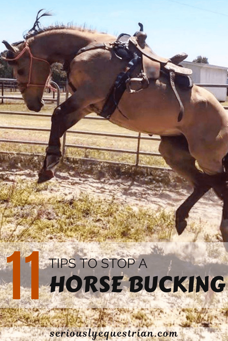 Horse Bucking Why Does a Horse Buck and 11 Tips to Stop It Seriously