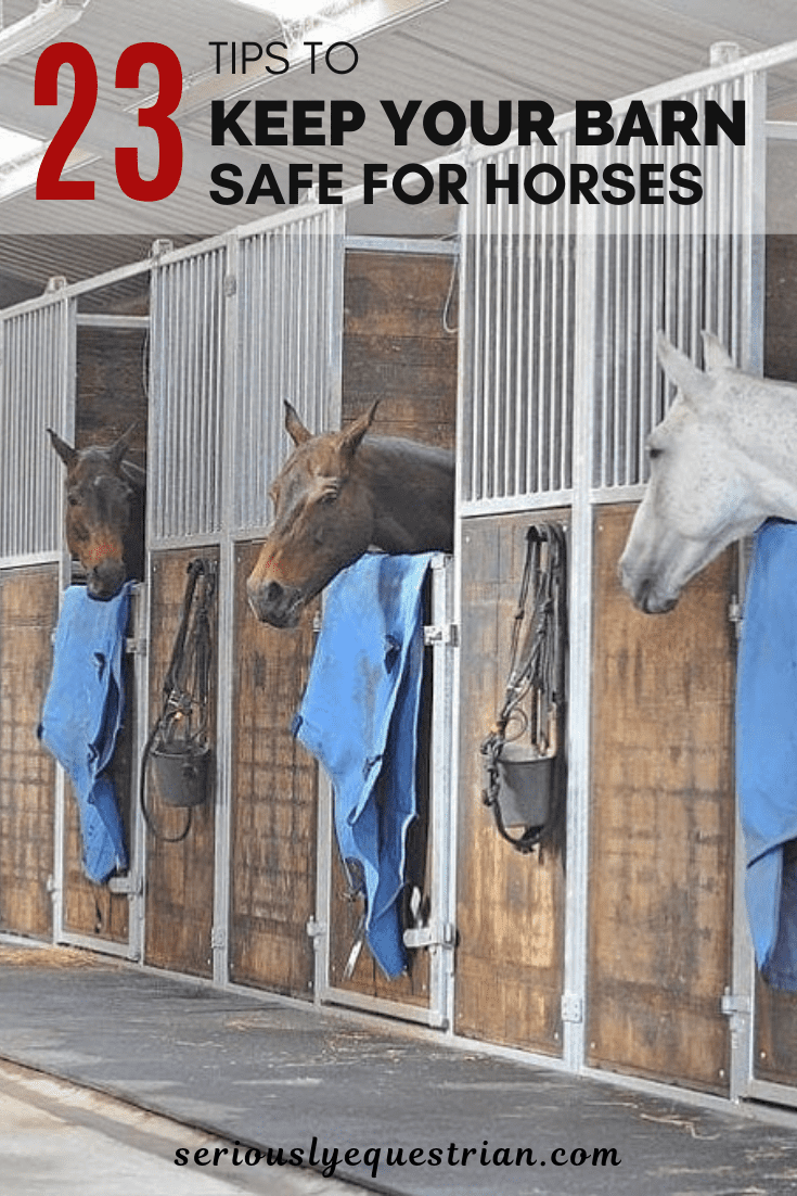 23 tips to keep your Barn safe for horses Seriously Equestrian