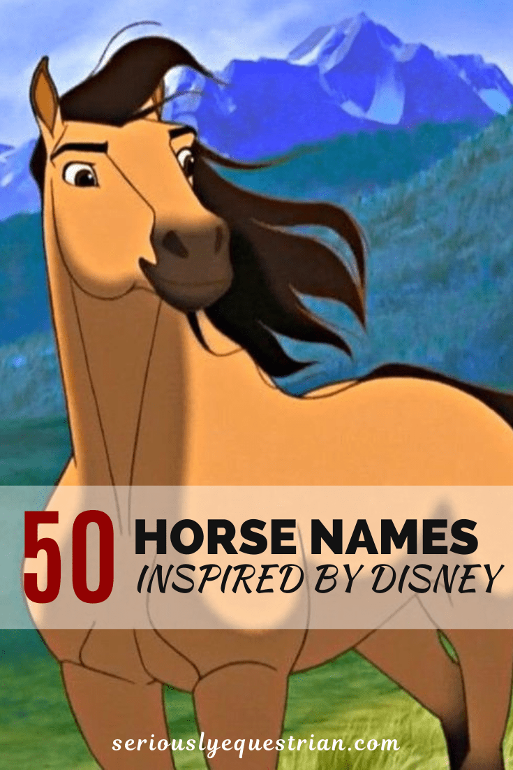 50 Horse Names as inspired by Disney Movies Seriously Equestrian