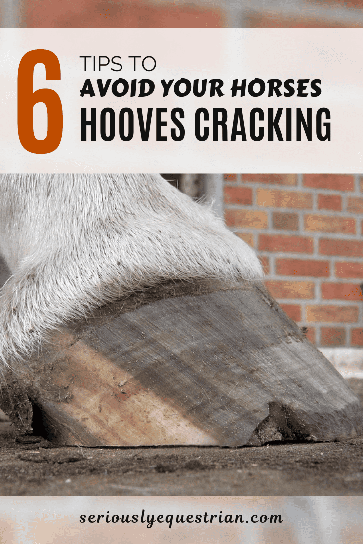 6 Tips to Avoid your Horses Hooves Cracking Seriously Equestrian