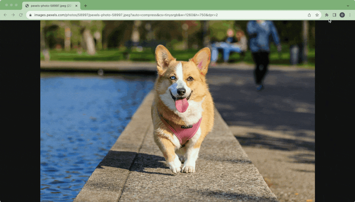 Best color pickers for Mac to transform your design workflow