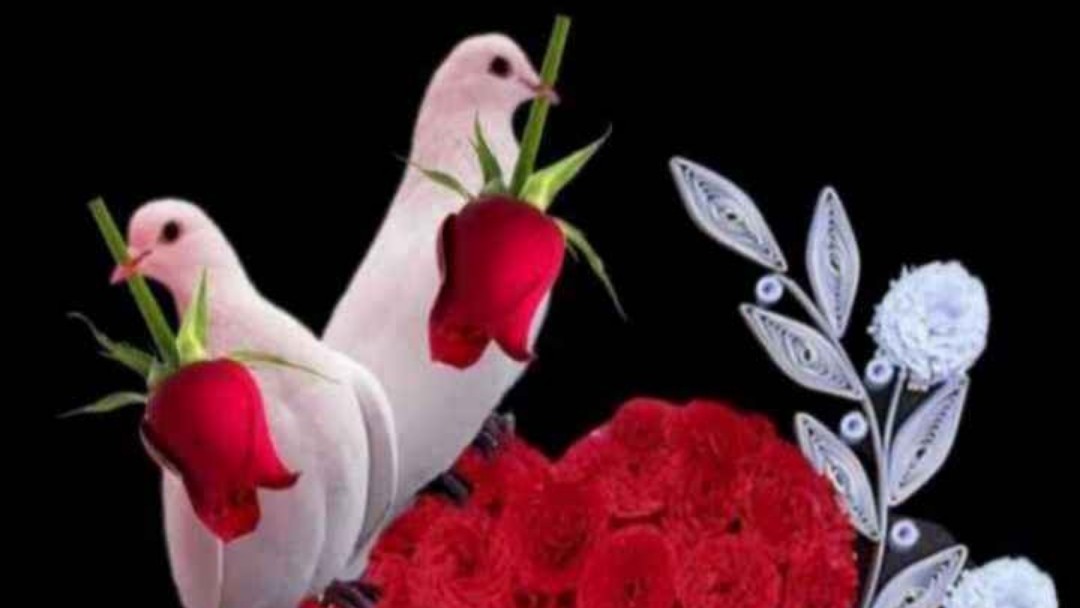 100 Best Images, Videos 2023 Mama love.. WhatsApp Group, Facebook