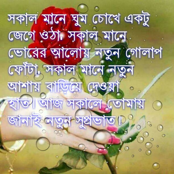 Share Chat Bengali Sad Shayari Photo