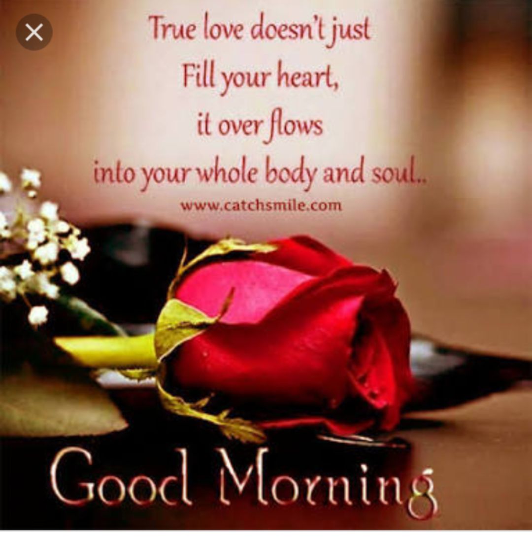 Top Collection of 999+ Good Morning Images with Love Quotes Stunning