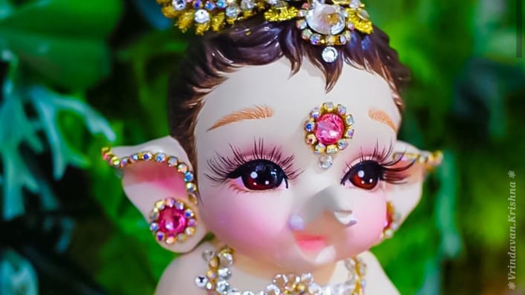 organic queen • ShareChat Photos and Videos