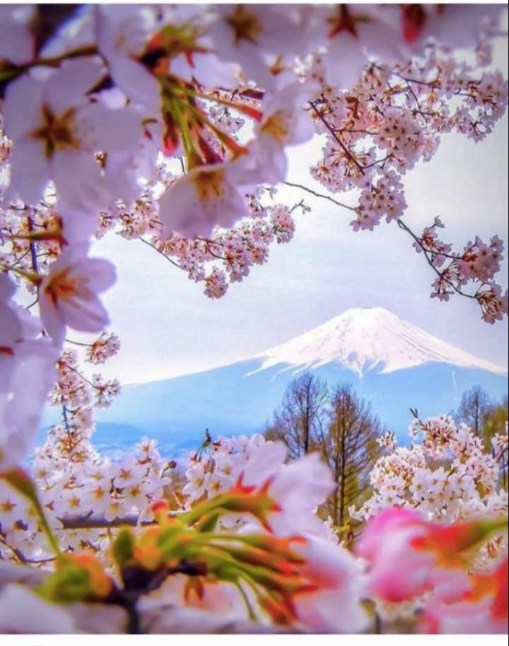 Details more than 74 wallpaper acche acche best noithatsi.vn