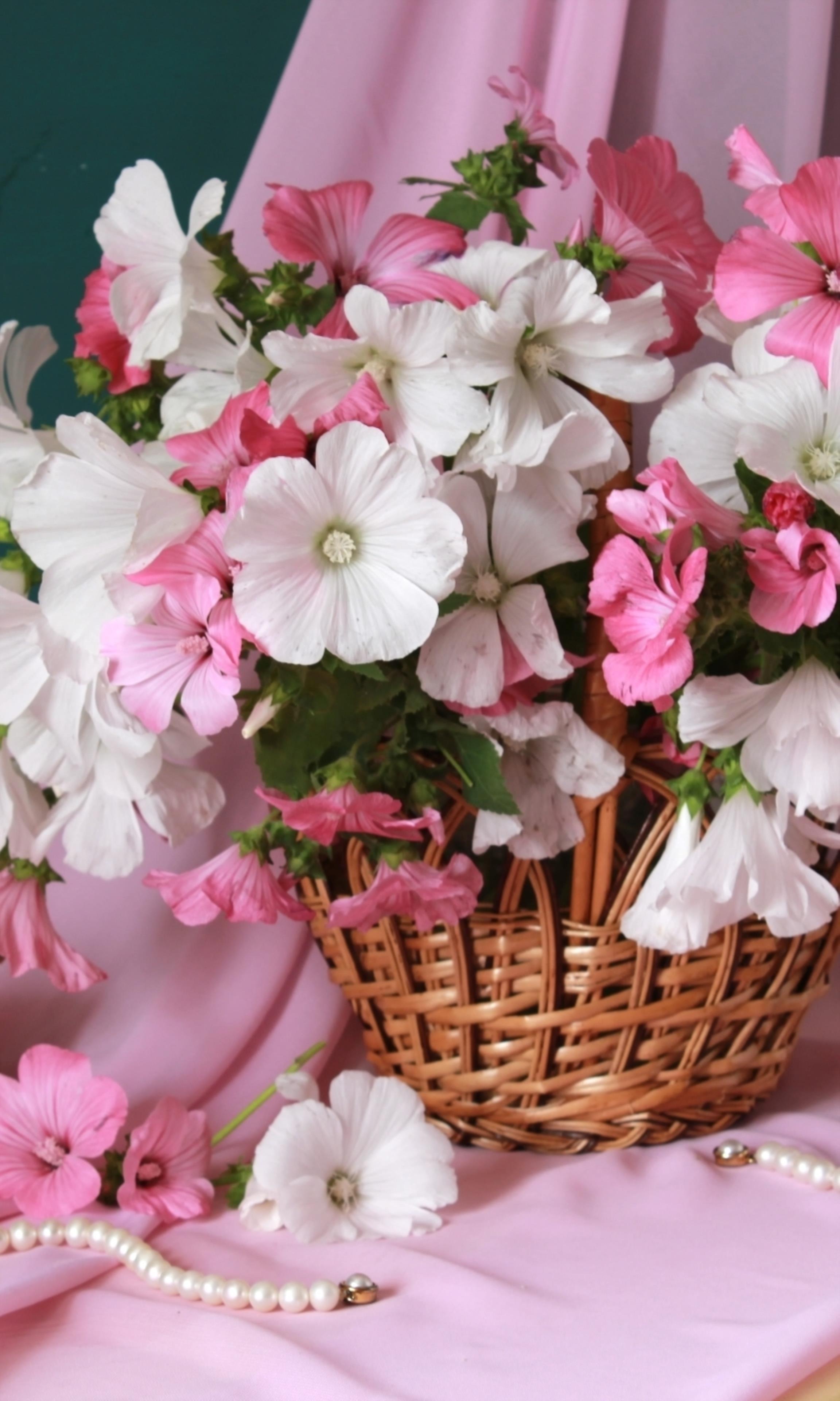 flowers • ShareChat Photos and Videos