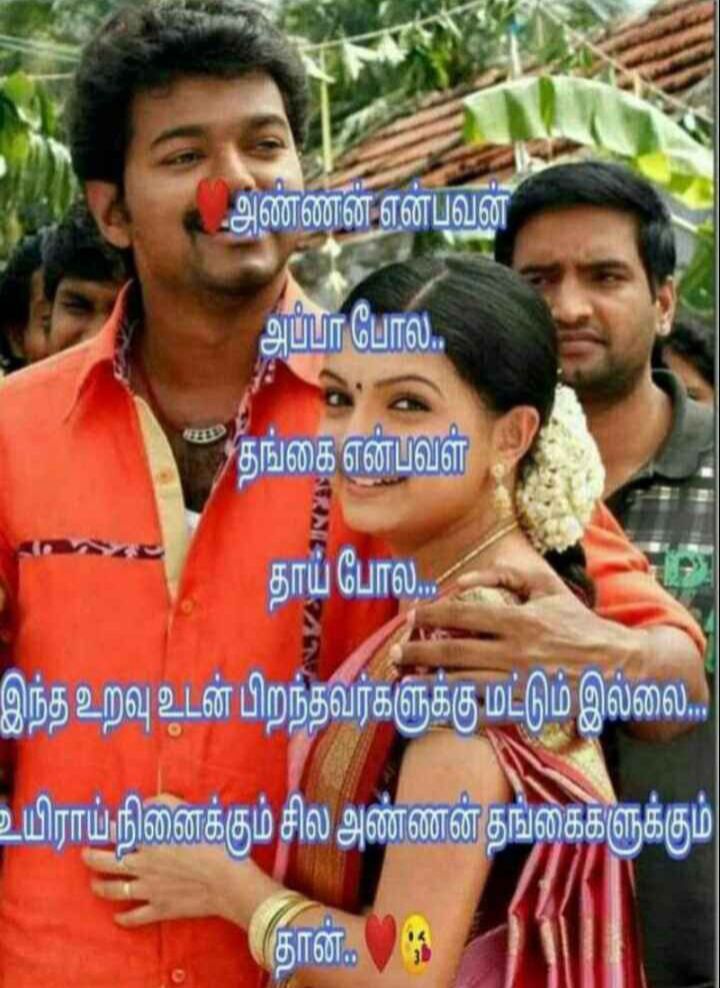 100 Best Images, Videos 2023 brother and sister sentiment