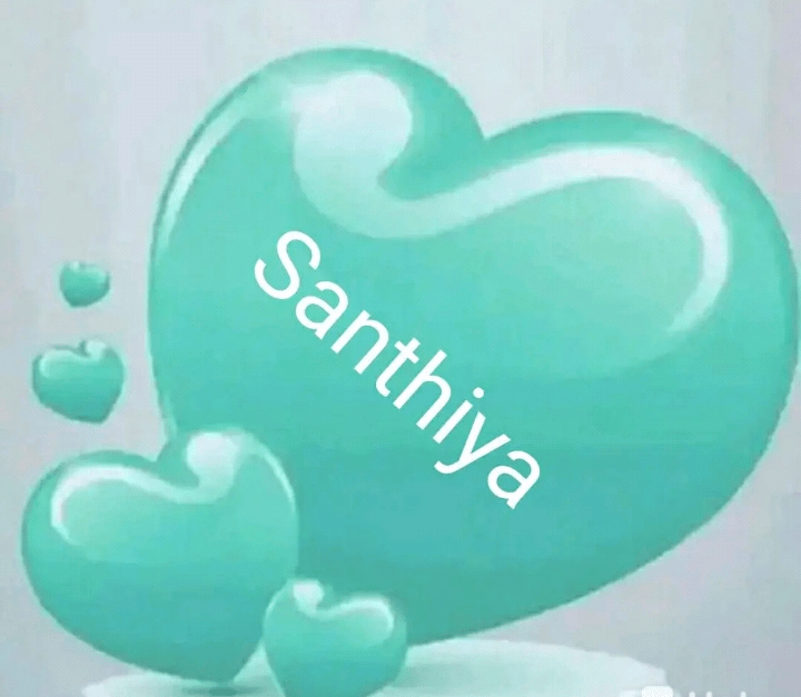 Sharechat Appa Ponnu Whatsapp Dp Romantic Stylish Whatsapp Dp Flowers