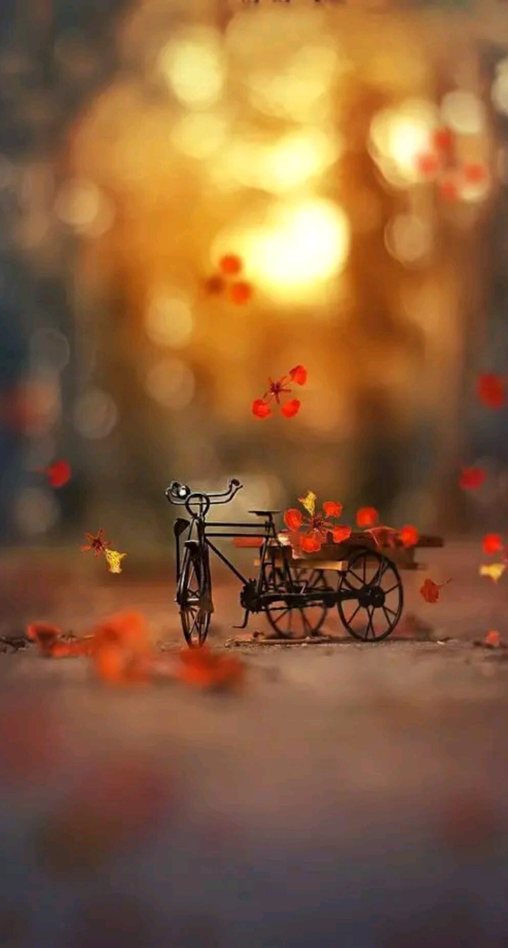 100 Best Images, Videos 2022 share chat dp WhatsApp Group