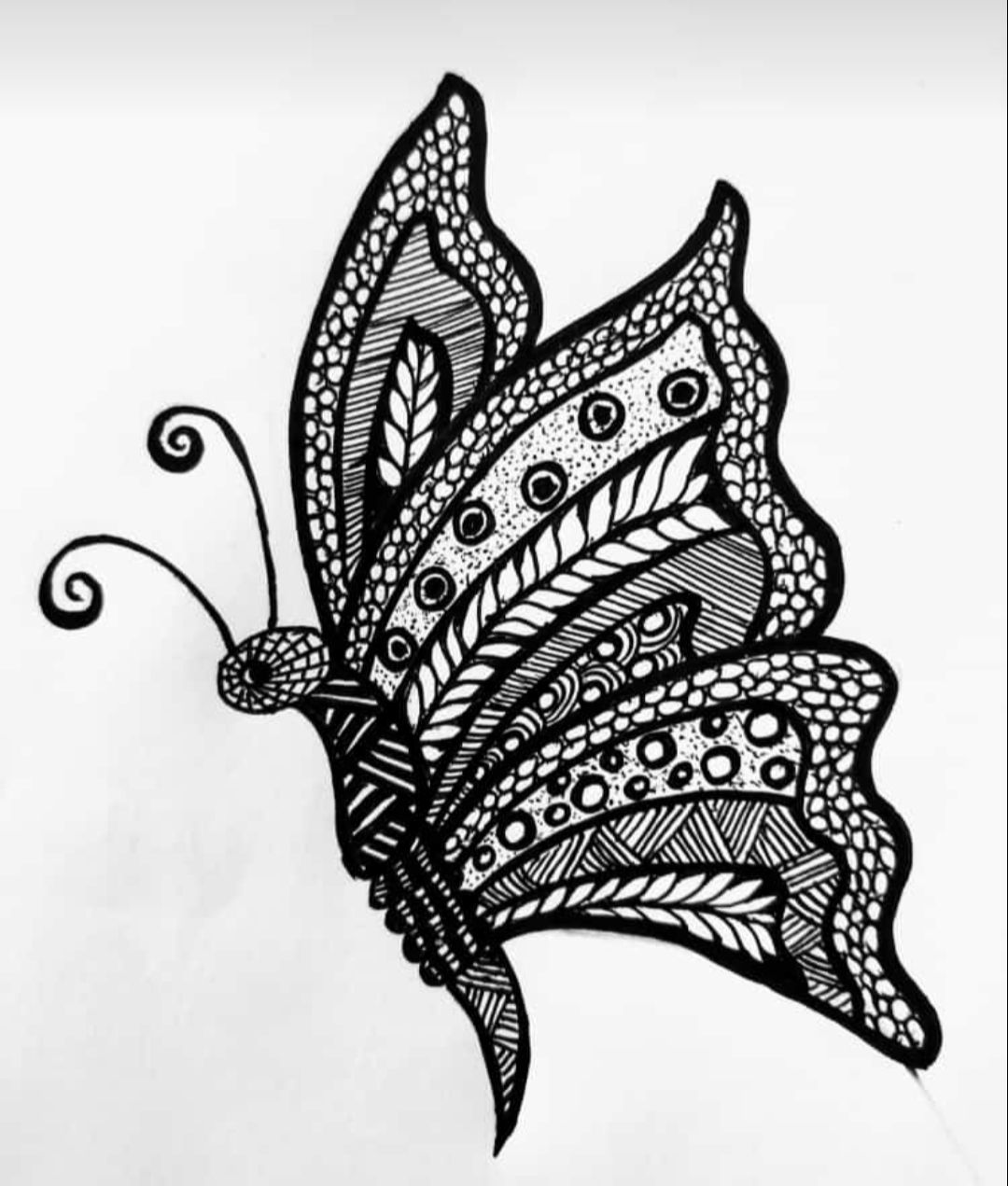 Collection of Over 999 Beautiful Drawing Images Stunning Full 4K High