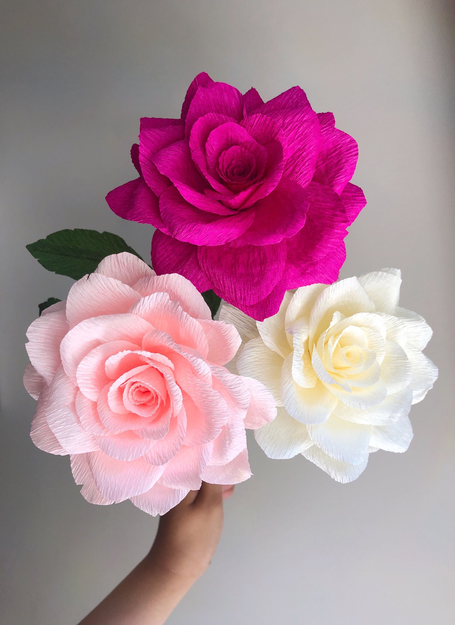 roses wallpaper in kannada Rose