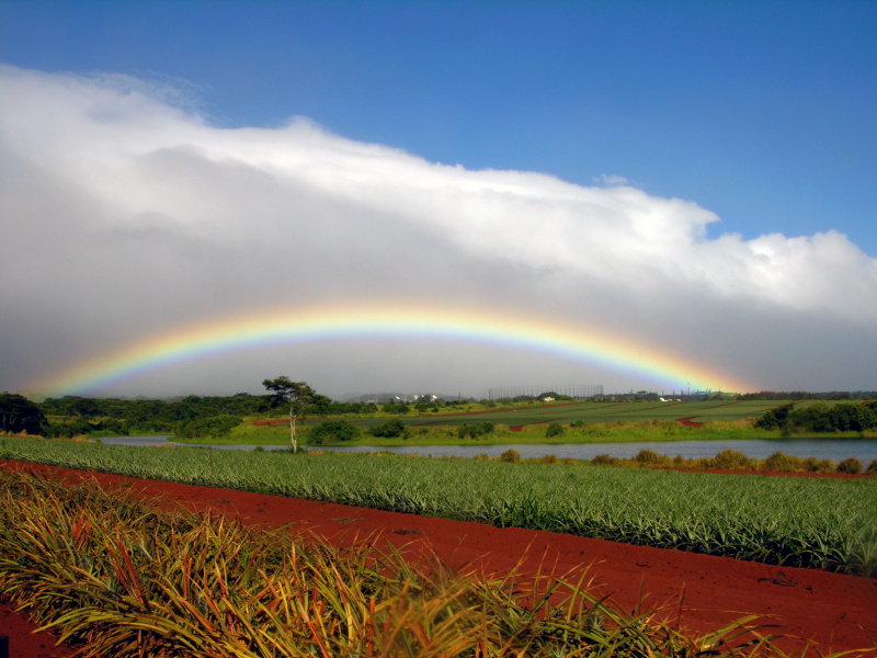 Dole Plantation Wahiawa, Hawaii