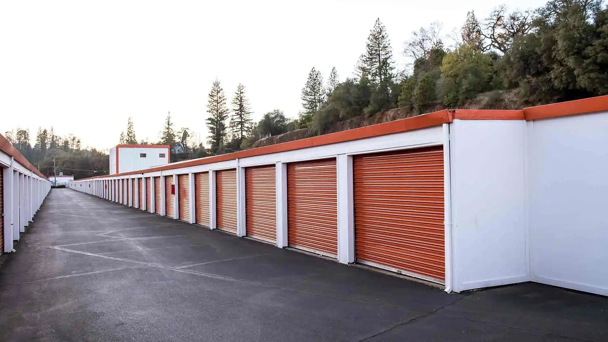 Storage Types Shield Storage