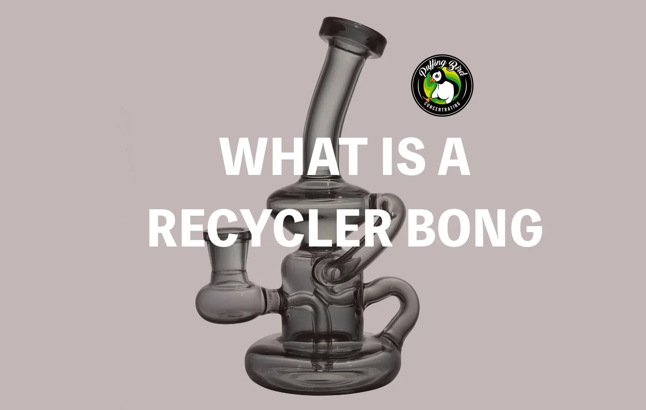 What's A Recycler Bong?