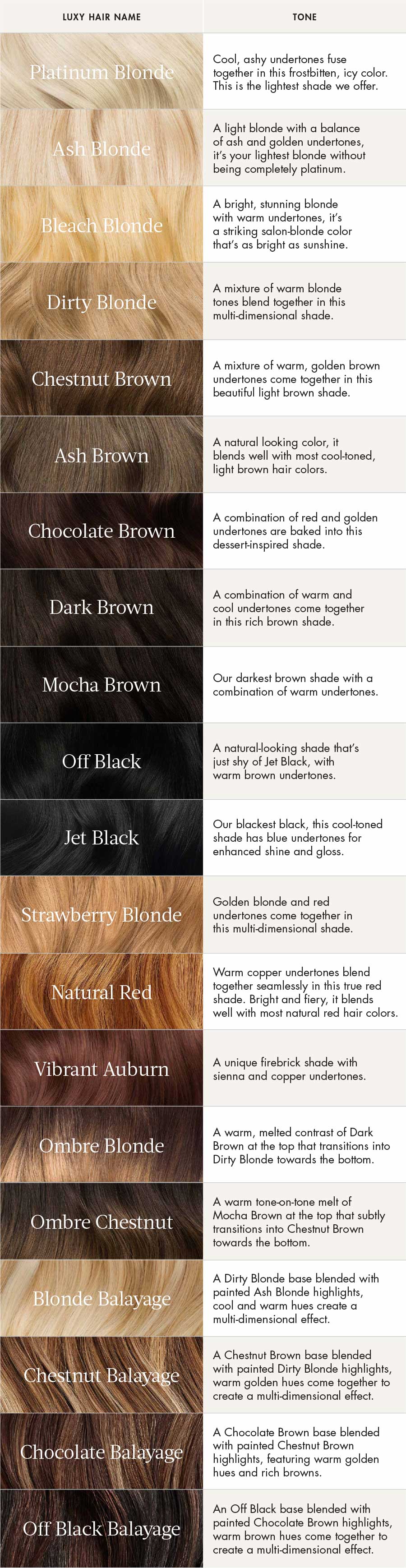 ClipIn Hair Extensions Chestnut Brown (Color 6 , 160 Grams) Luxy Hair