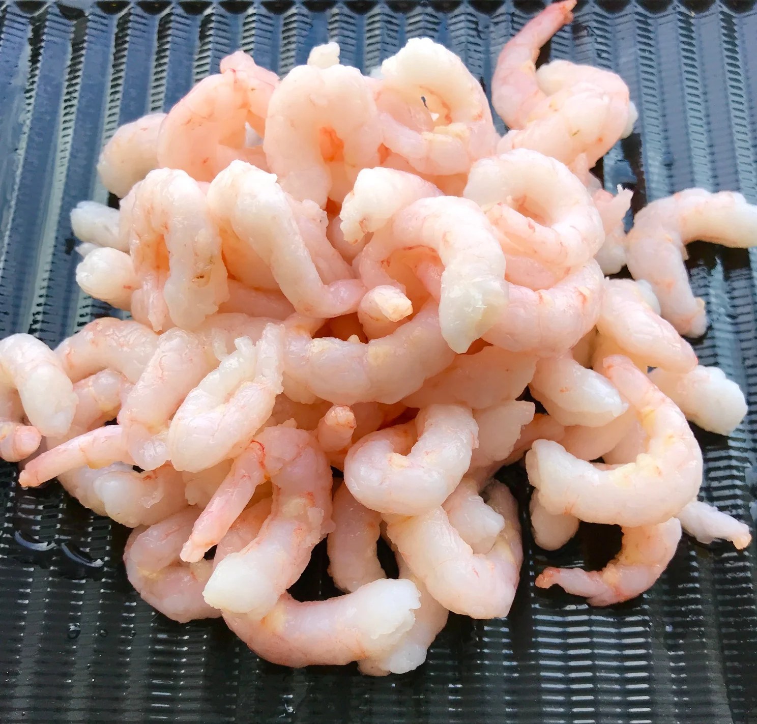 Jumbo Coldwater Prawns ( 1kg ) [FROZEN] only £23.50 from The Berwick