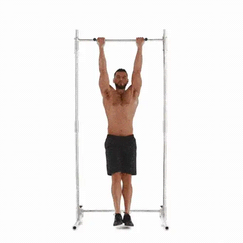 Weight Training Guide for Beginners Pull Ups