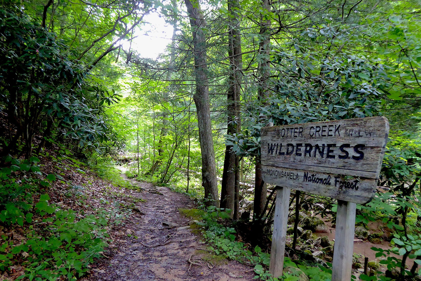 Otter Creek Wilderness Go Wild In West Virginia Purple Lizard Maps