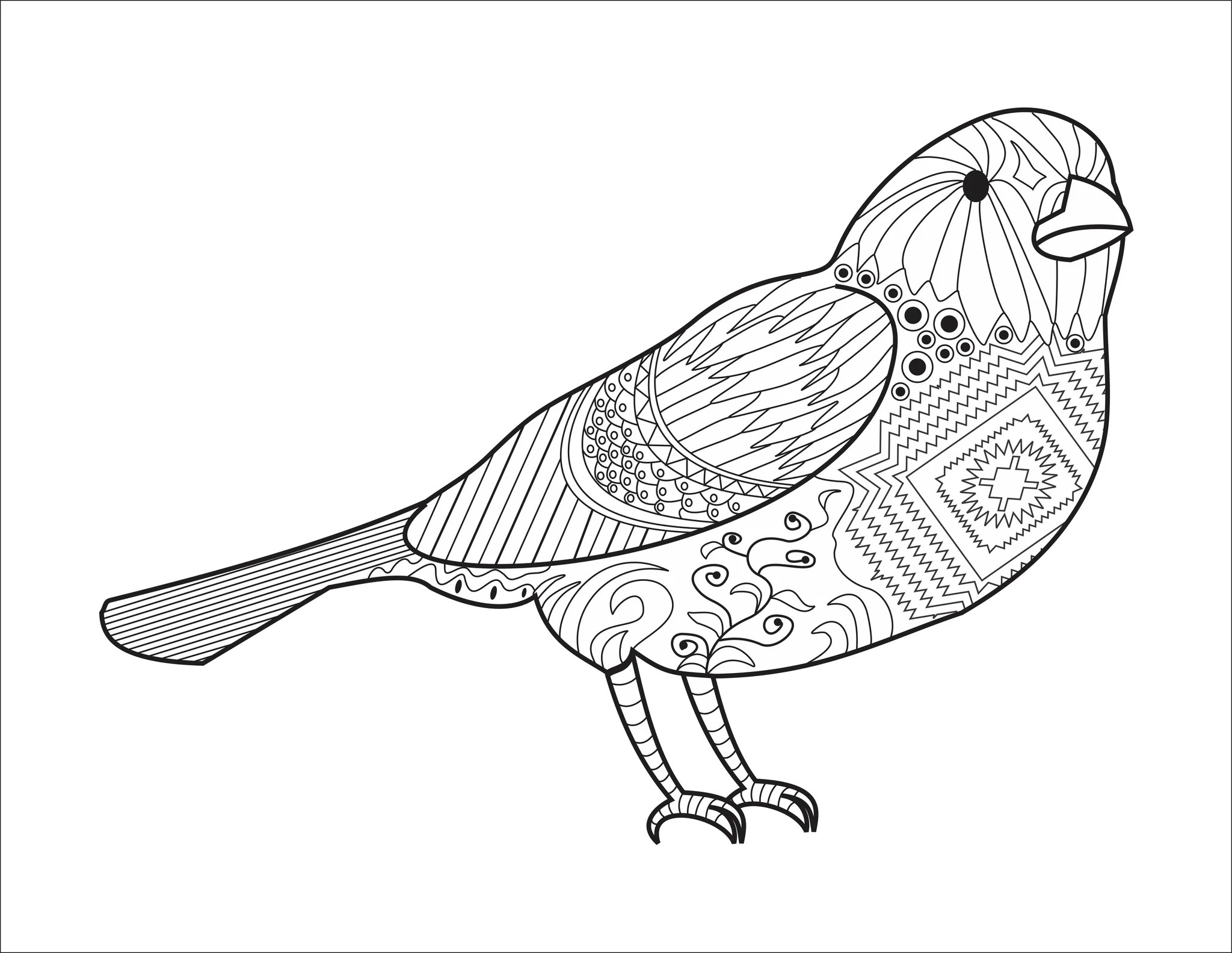 ADULT COLORING FOR BEGINNERS WHERE TO START.