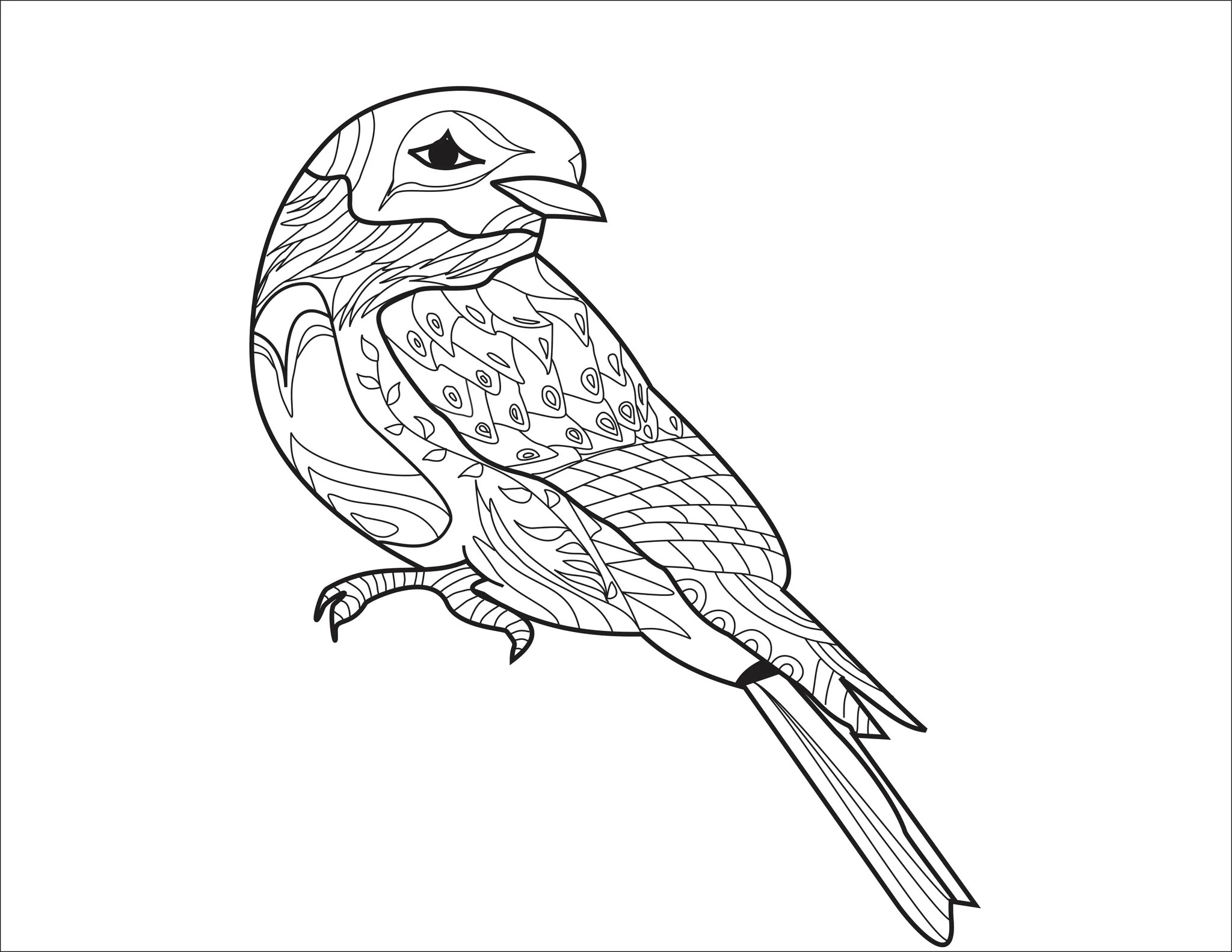 Adult Coloring for Beginners YouTube